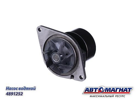 4891252 Насос водяной (АМ) (4)