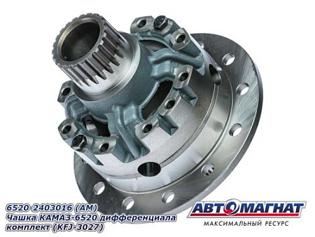 6520-2403016 (АМ) Чашка КАМАЗ-6520 дифференциала комплект (KFJ-3027)