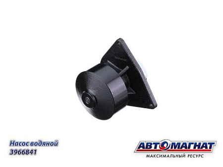 3966841 Насос водяной (АМ) (4)