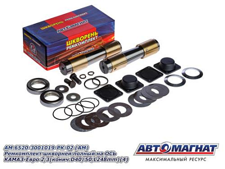 AM.6520-3001019-РК-02 (АМ) Ремкомплект шкворней полный на ОСЬ КАМАЗ-Евро 2,3(конич.D40/50,L248mm)(4)