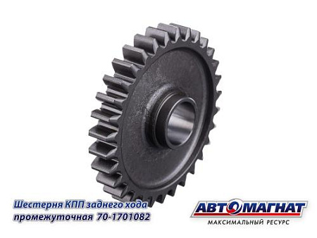 70-1701082 (АМ) Шестерня КПП заднего хода промежуточная Z=31  МТЗ (KFJ-5005A)