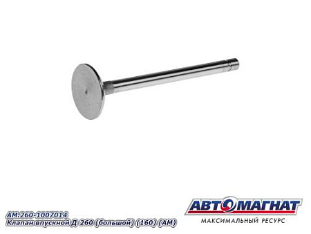 AM.260-1007014 Клапан впускной Д-260 (большой) (160) (АМ)