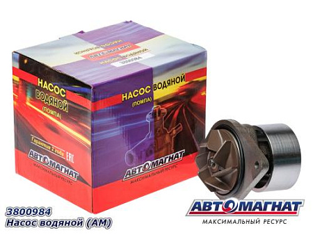 3800984 Насос водяной (АМ) (6)