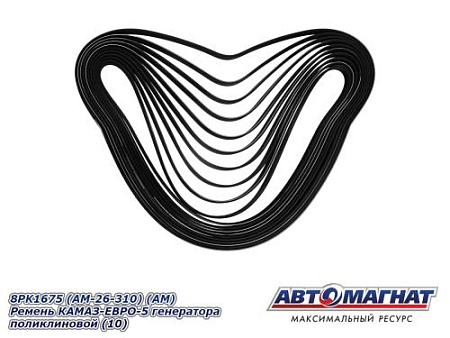 8PK1675 (AM-26-310) (АМ) Ремень КАМАЗ-ЕВРО-5 генератора поликлиновой (10)
