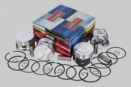 421.1004018-23 "Д" (АМ) Моторокомплект УМЗ-4213, -4216 (D=100)