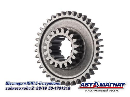 50-1701218 (АМ) Шестерня КПП МТЗ 5-й передачи и заднего хода Z=38/19 (KFJ-8007)