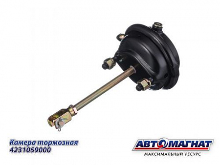 4231059000 (АМ) Камера тормоза  тип 20 (барабанный тормоз/ кулачковый тормоз) BPW, MAN, SCANIA 