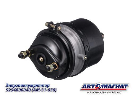 9254800040 (AM-31-050) (АМ) Энергоаккумулятор VOLVO, MERCEDES MAN DAF тип 20/24 (левый/правый)