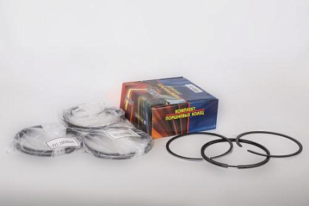 421.1004024 (АМ) Моторокомплект п/колец УМЗ (d=100)