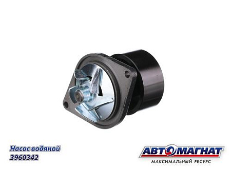 3960342 Насос водяной (АМ) (4)