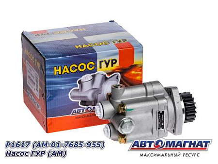 P1617 (AM-01-7685-955) Насос ГУР (АМ) (4)