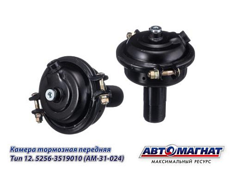 5256-3519010 (AM-31-024) (АМ) Камера тормозная передняя (тип 12) ЛИАЗ-5256 , 5292,6212, экскаватор